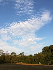 Altocumulus