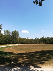 Quellwolke - Cumulus humilis